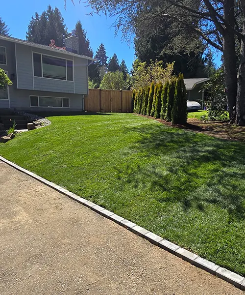 Outdoor Living Landscape in Shoreline 